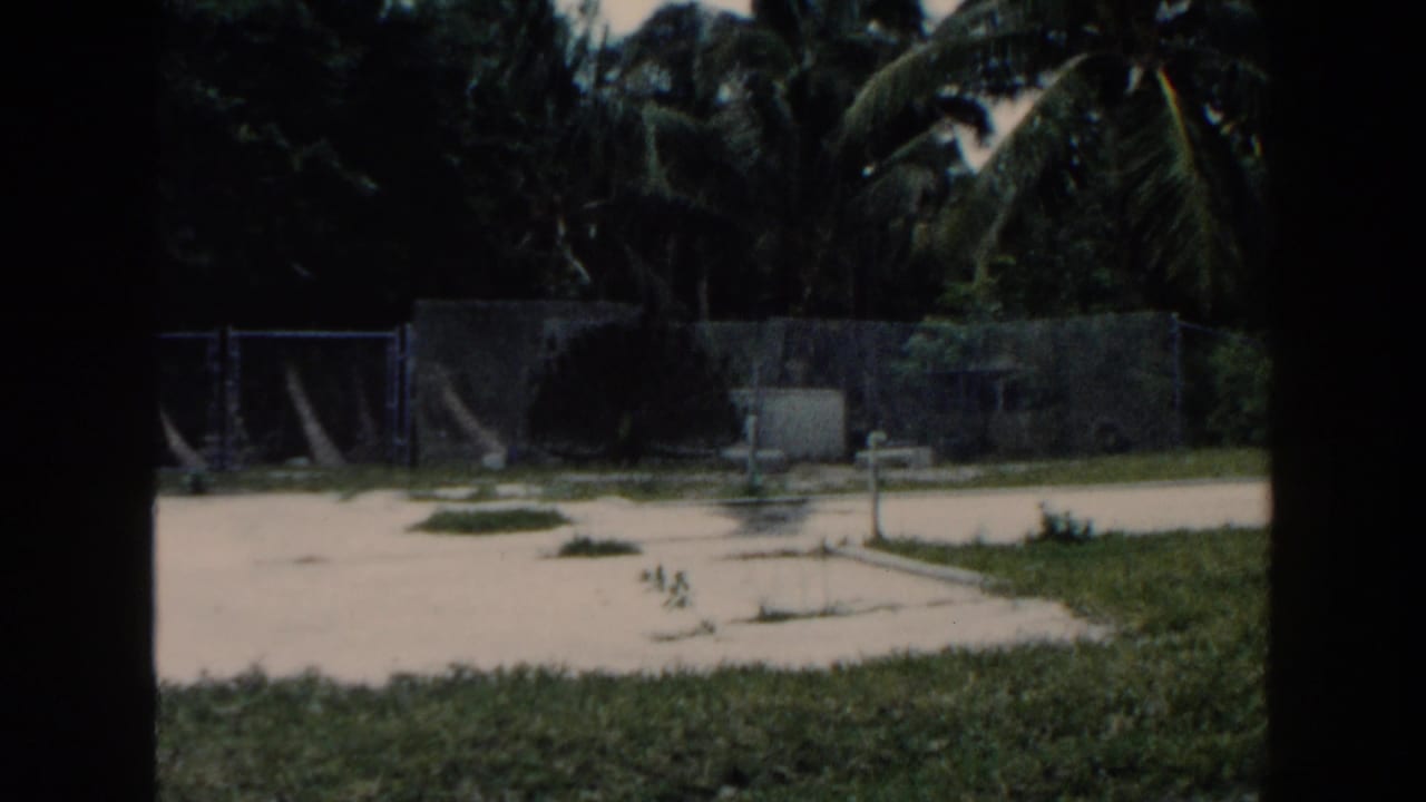 Cleared sandy lot with fencing, palms, grass, and concrete pads.