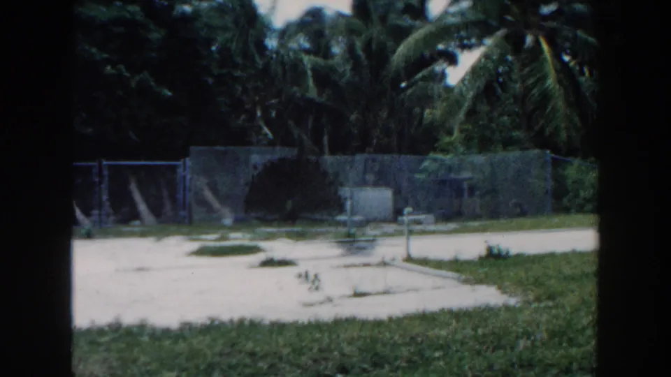 1960 Miami home-movie frame showing a fenced tropical lot, palm trees, patchy grass, and pale concrete foundation surfaces.