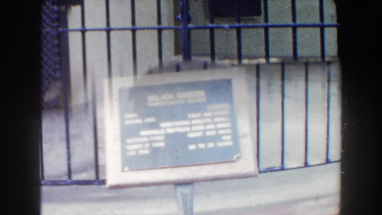 Blue zoo plaque in front of an empty-looking barred enclosure area.