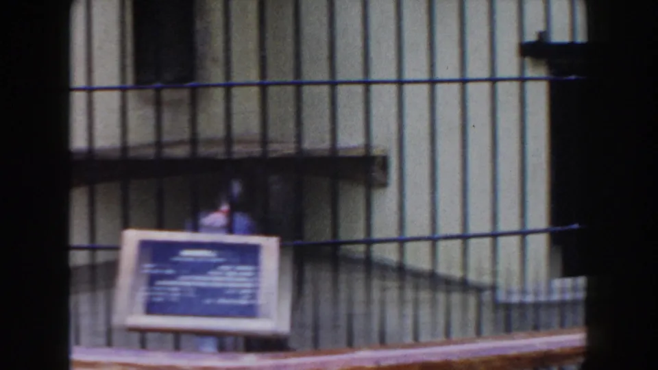 1960 Miami zoo frame showing barred enclosure walls and a foreground placard, with an animal partly obscured inside.