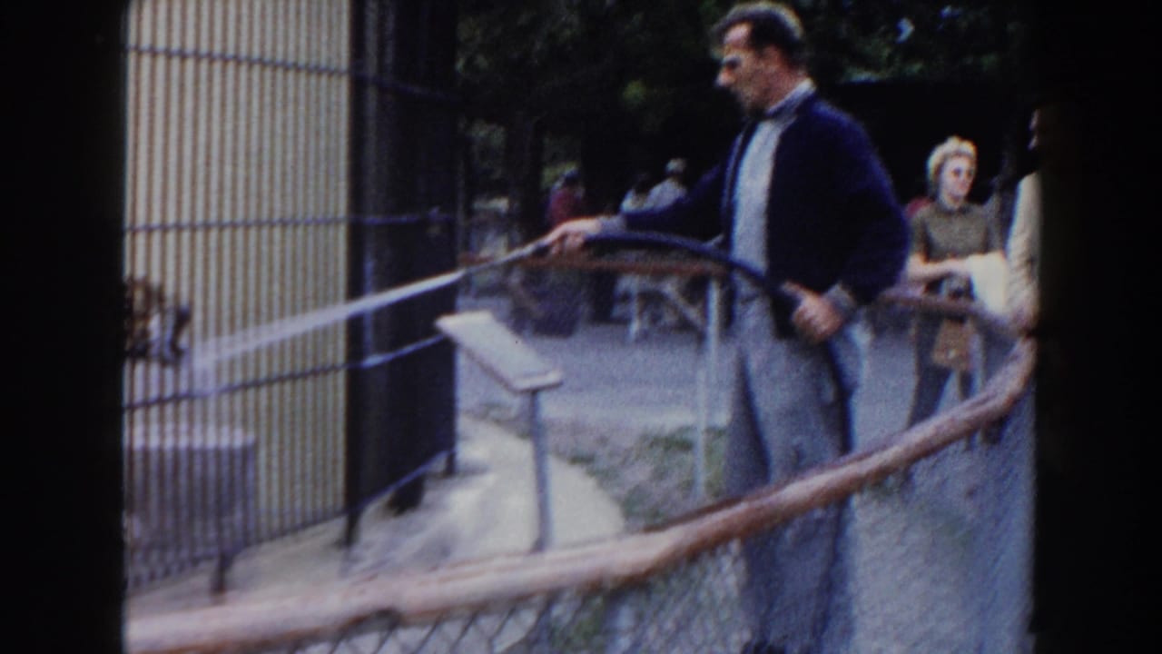 A zookeeper in dark outerwear sprays a hose toward a barred big-cat enclosure at a Miami zoo, with visitors visible behind him.