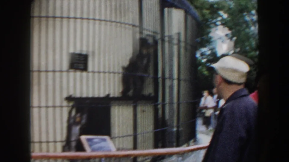 1960 Miami zoo frame showing an adult monkey on a platform inside a barred enclosure as visitors watch from the side.