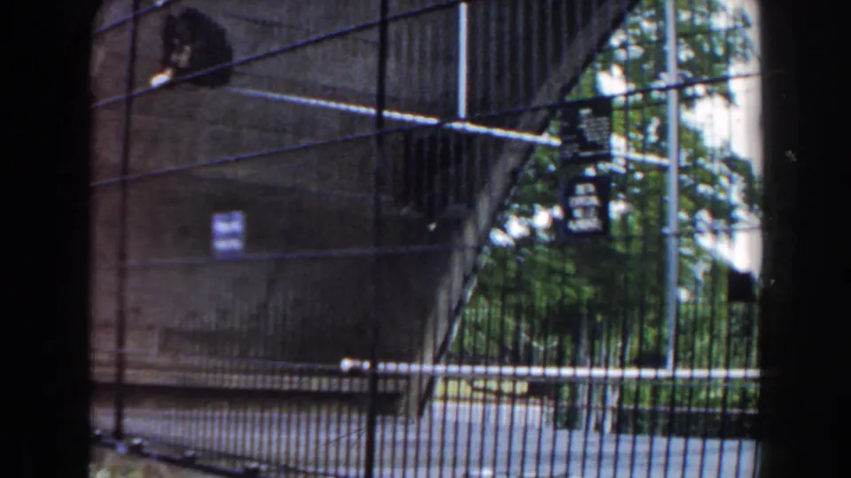 The camera looks along the zoo cage structure in Miami, with fencing, trees, pavement, and enclosure hardware visible.
