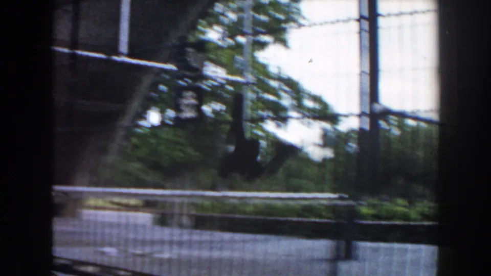 A monkey moves through the wire enclosure in 1960 Miami zoo footage, with trees and a bright wall behind the cage.
