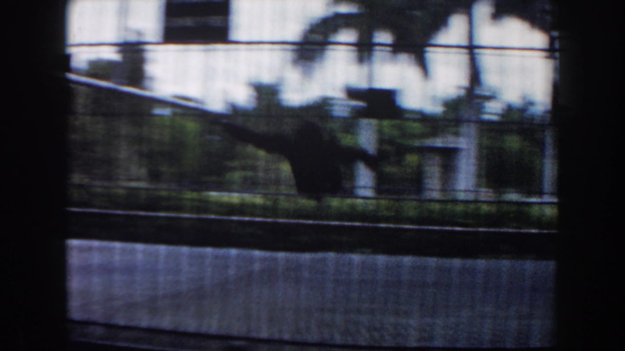 Primate behind wire mesh near metal bars and concrete enclosure wall.
