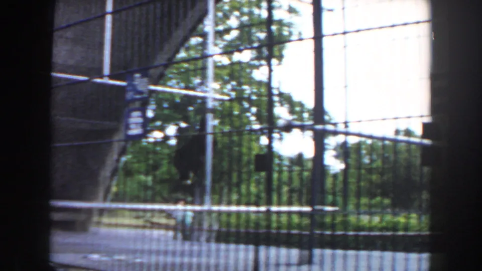 1960 Miami zoo frame with wire mesh, trees, metal rails, and a primate partly visible within the enclosure.