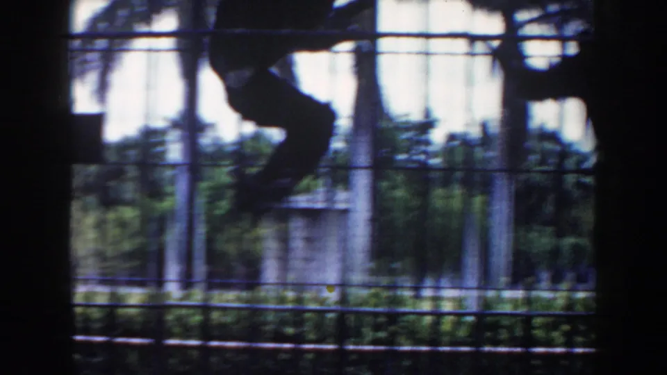A dark primate swings across the upper area of a 1960 Miami zoo cage, blurred by motion and filmed through vertical bars.