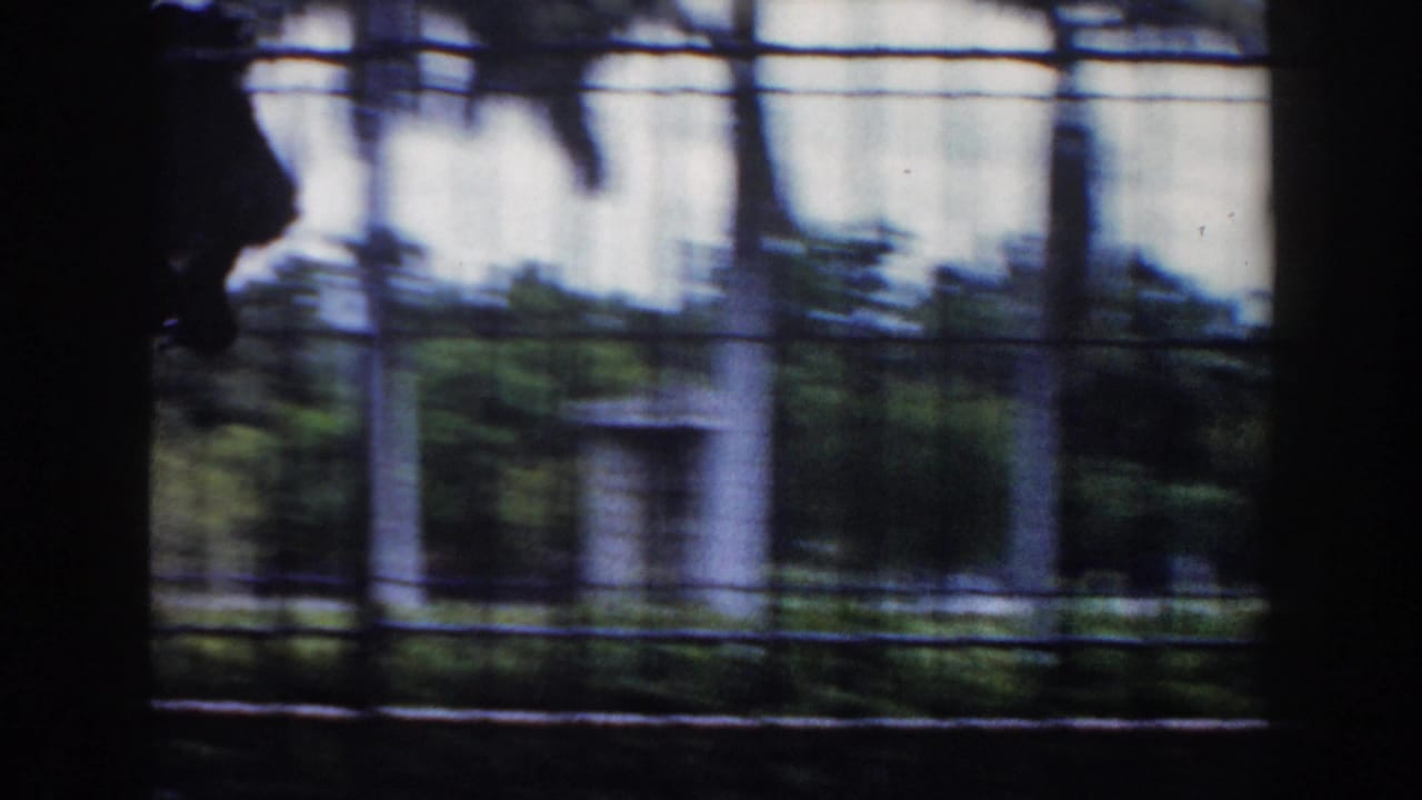 Blurred view of a barred zoo enclosure with greenery and a concrete structure beyond.