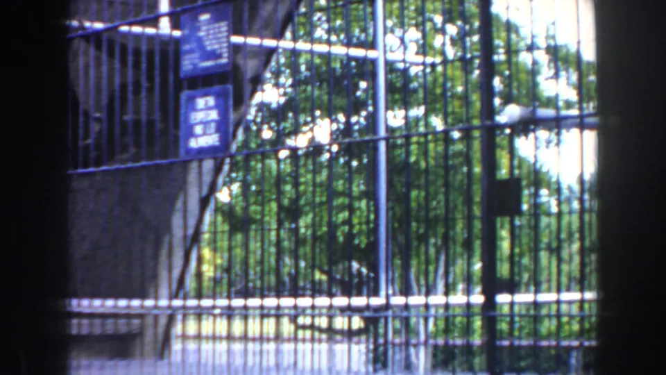 Visitor-shot 1960 Miami zoo frame showing the monkey cage through vertical bars, with blue signs, foliage, and concrete enclosure surfaces.