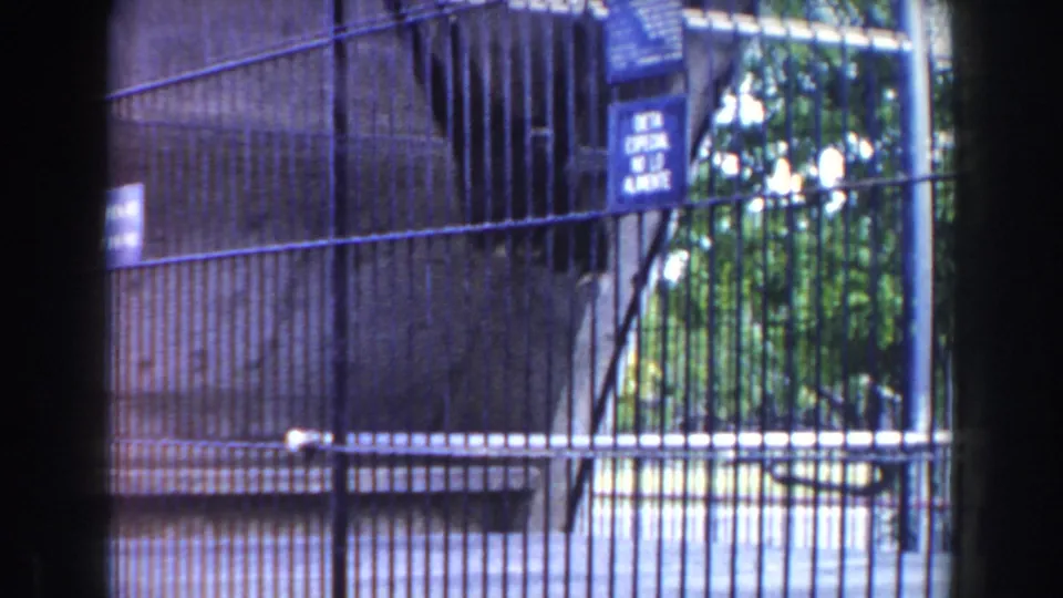 1960 Miami zoo frame of the monkey enclosure, showing dense metal bars, a blue notice sign, concrete wall, trees, and a lower gate area.