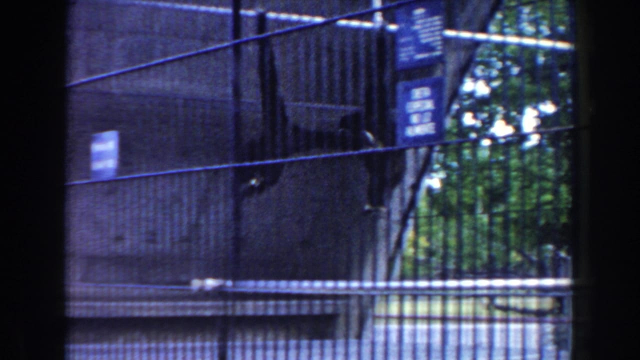 Two monkeys silhouetted inside a wire zoo enclosure with concrete walls and warning signs.