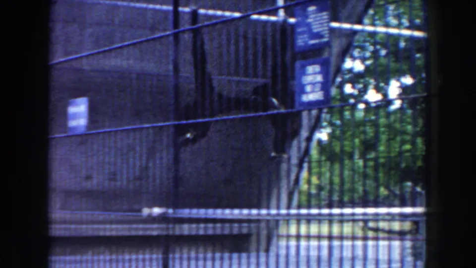 1960 Miami zoo footage showing monkeys moving behind wire mesh in a concrete enclosure with trees visible beyond the bars.