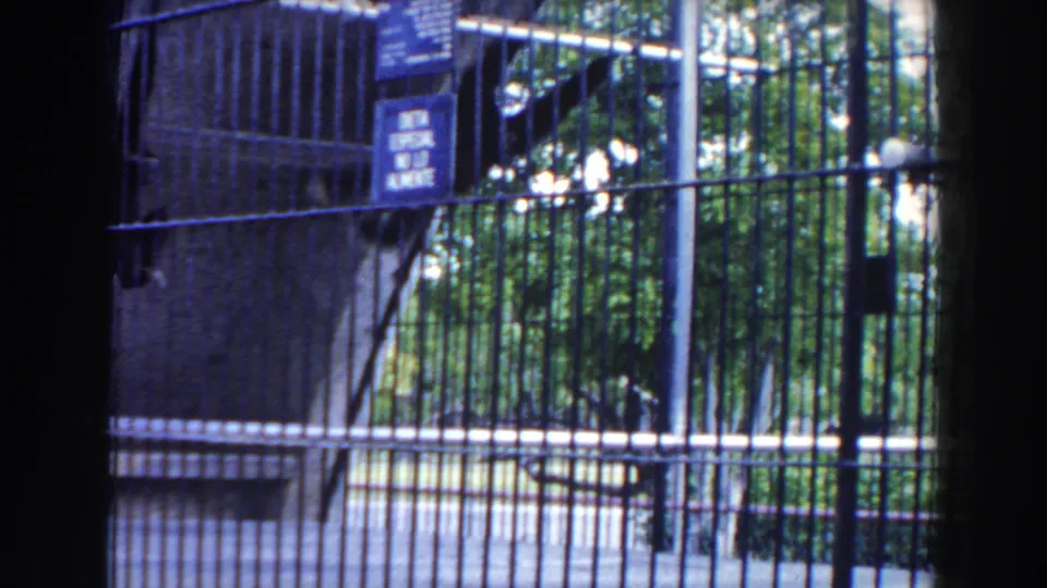 Visitor-shot 8mm frame from a Miami zoo enclosure, with monkeys behind mesh and leafy trees visible through the bars.