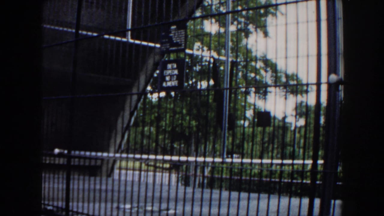 Zoo cage bars with warning signs and trees beyond the enclosure.
