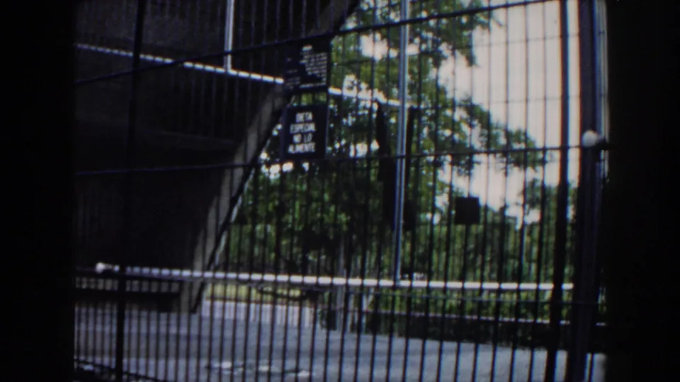 Cage bars, warning signage, and trees beyond a zoo enclosure in the supplied 1960 Miami home-movie footage.