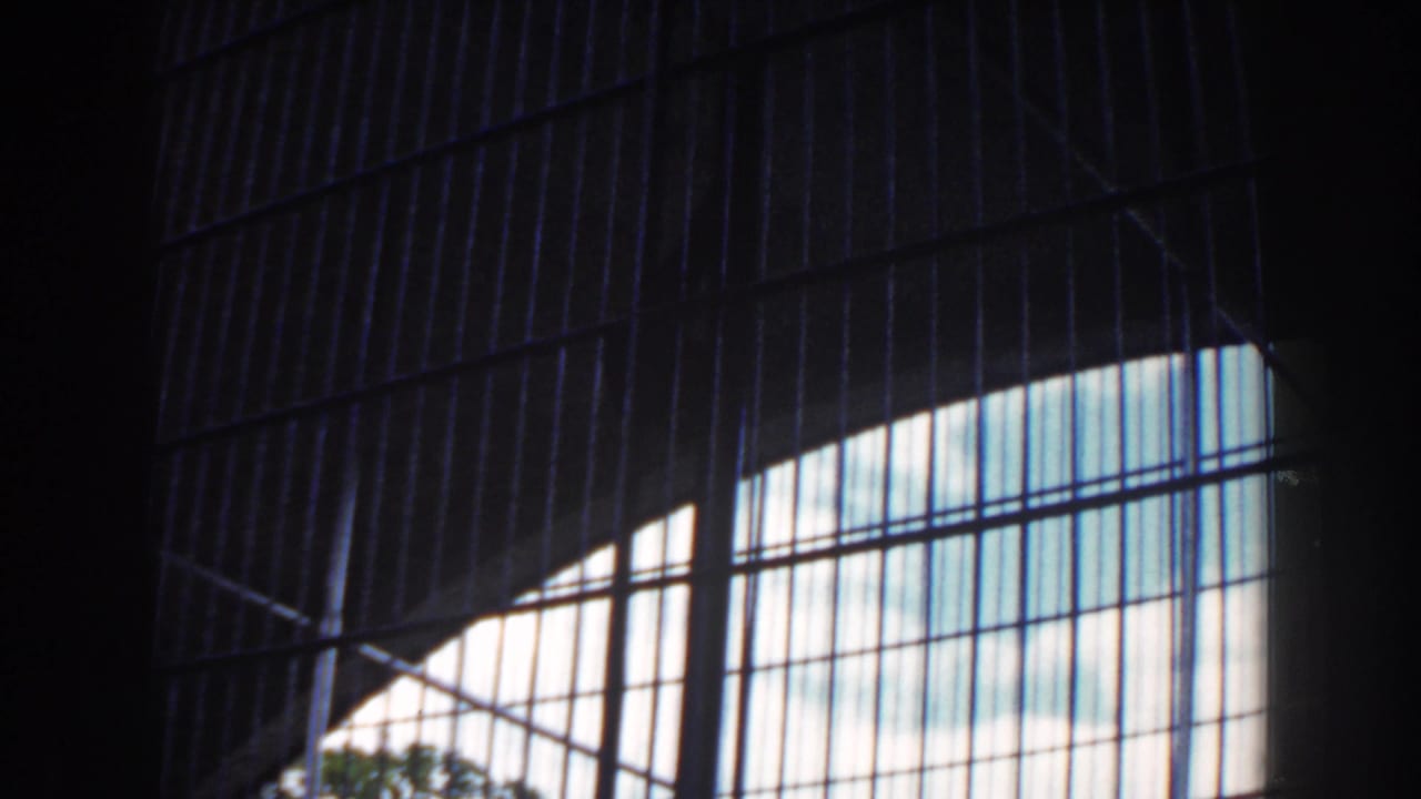 1960 Miami zoo home-movie frame showing cage bars, arched enclosure structure, and bright sky beyond the grid.