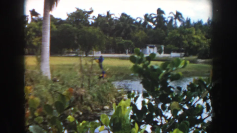 1960 Miami home-movie frame showing grassy zoo grounds with palms, shrubs, a path or water feature, and small distant visitors.
