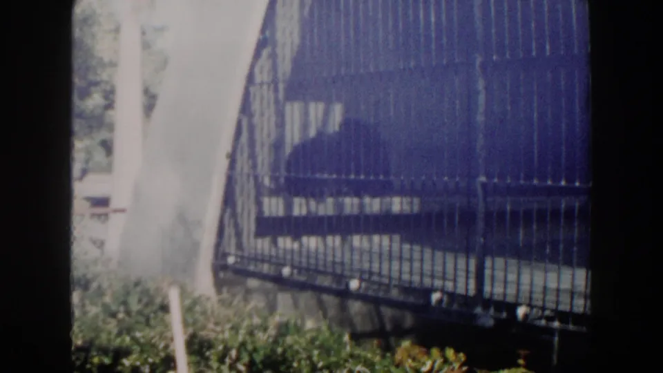1960 Miami 8mm frame showing a metal-barred zoo enclosure with a dark animal shape partially obscured inside.