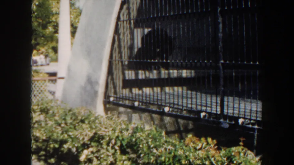 1960s 8mm zoo frame showing a dark primate behind bars, framed by bright foliage and concrete enclosure surfaces.