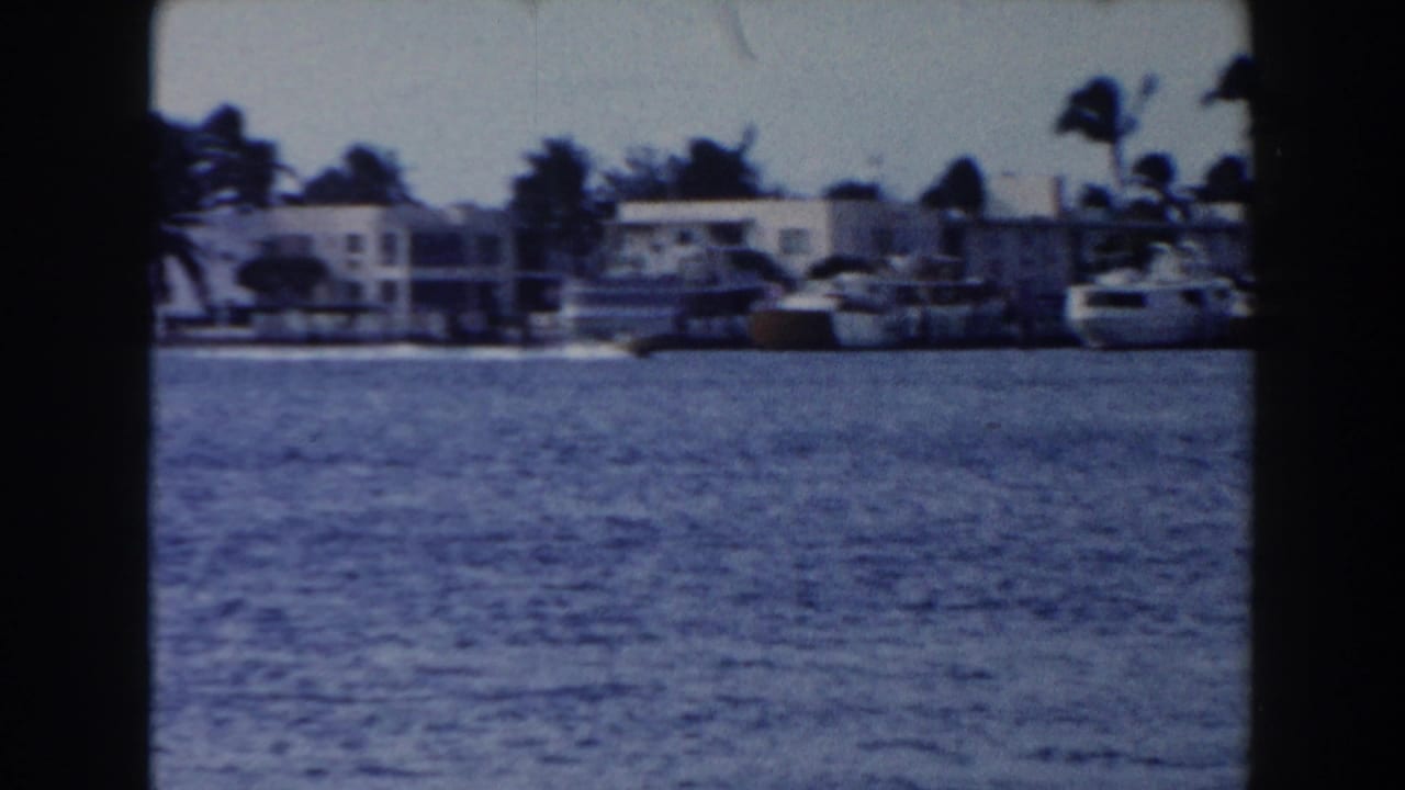 Waterfront buildings and boats across blue water with palm trees in the background.