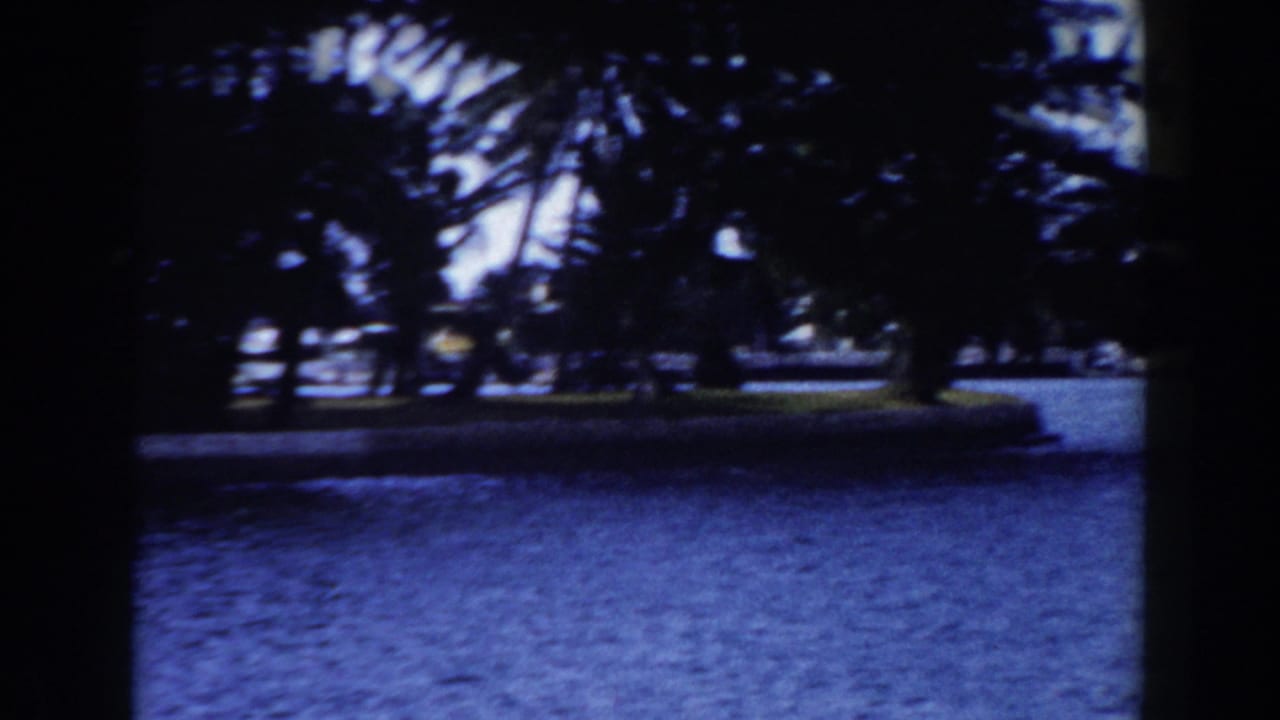 Palm-covered shoreline beside blue water, seen through dark film-frame edges.
