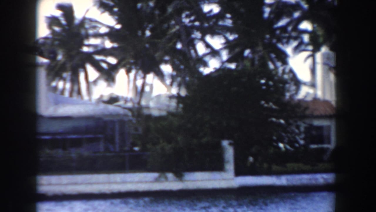1960 Miami home-movie frame showing a white waterfront lodge-like building partly obscured by palm trees and dark film-frame edges.