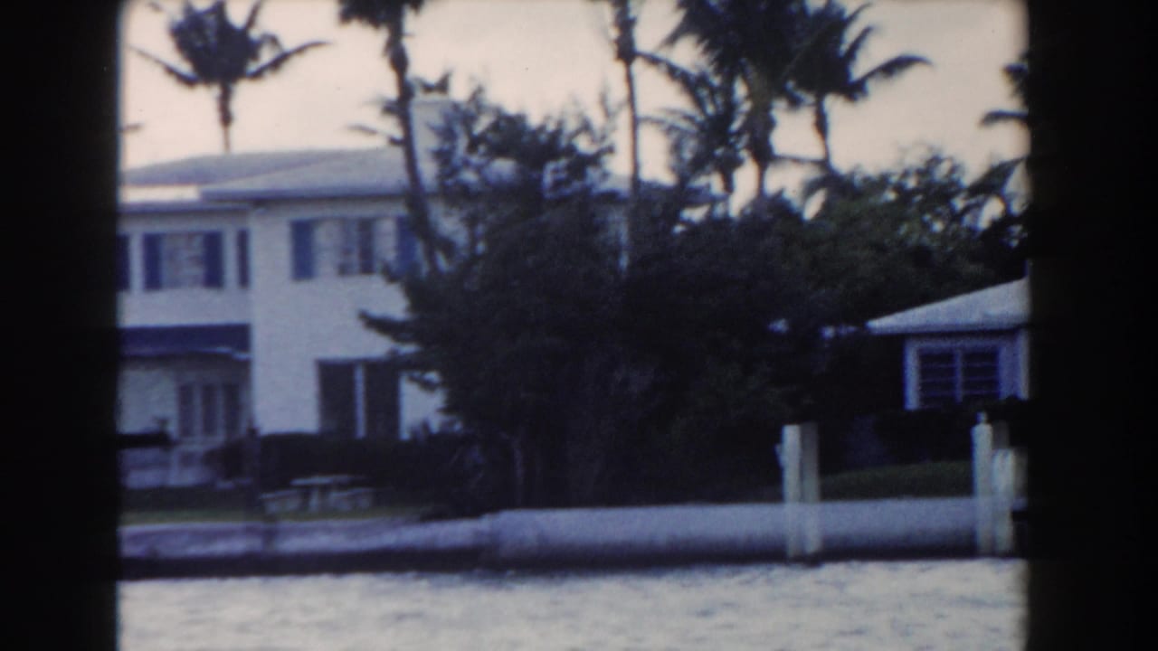 Waterfront houses and palm trees seen from across the water.