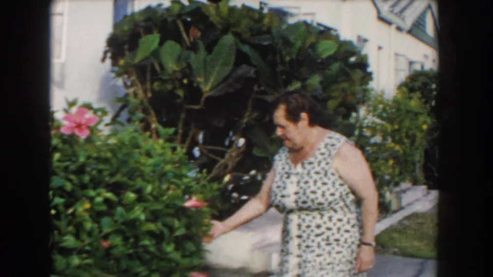 The adult woman reaches toward a pink hibiscus while walking past tropical foliage in the 1960 Miami residential garden footage.