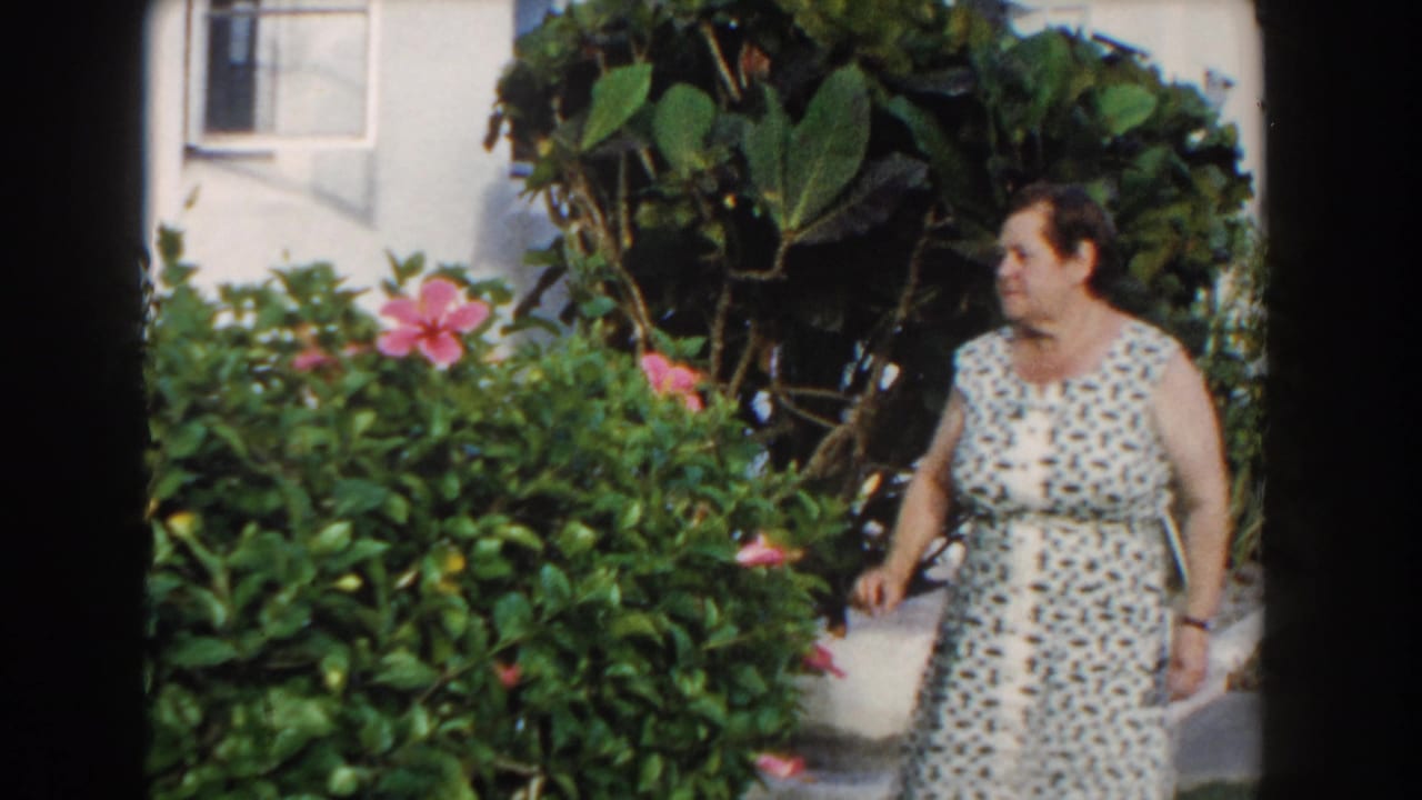 In 1960 Miami home-movie footage, a woman stands near pink hibiscus flowers outside white residential buildings.