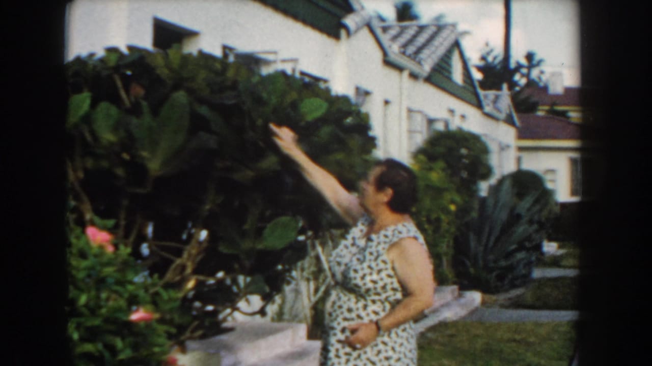 In 1960 Miami home-movie footage, a woman in a patterned dress reaches up to adjust large tropical leaves in a residential garden.