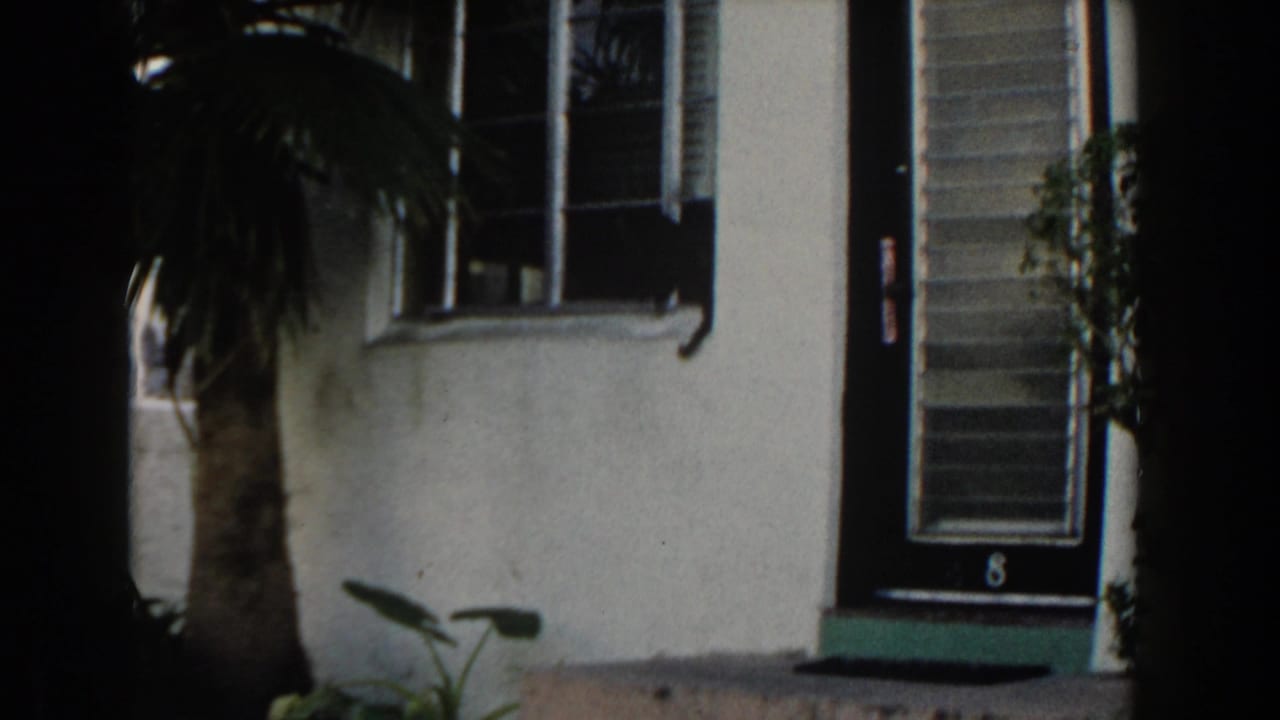 Stucco building exterior with palm trunk, barred window, and dark door.