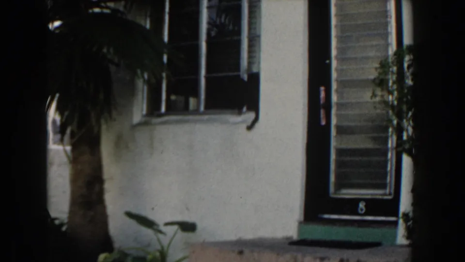 White stucco exterior in Miami with a palm trunk, barred window, louvered door, and dark 8mm frame edges.