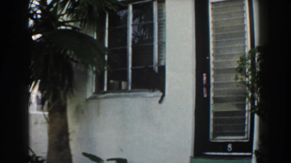 The final frame holds on the Miami building exterior with barred window, palm trunk, steps, and dark door.