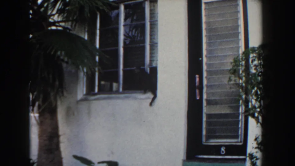 1960 Miami residential exterior showing a dark cat at a window, palm foliage, white stucco wall, and black door marked 8.
