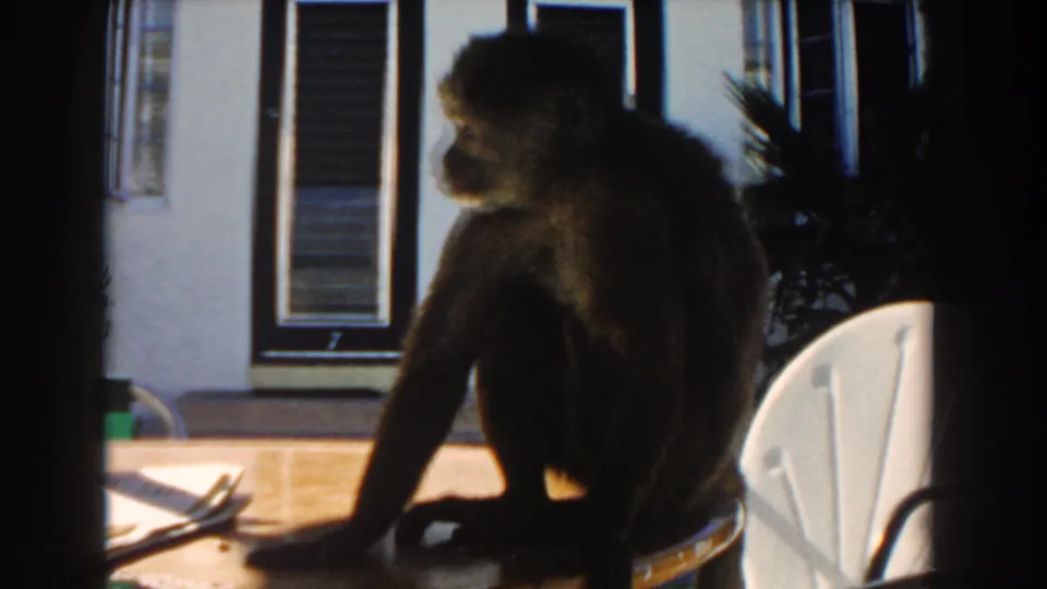 In 1960 Miami home-movie footage, a monkey sits on a patio table beside a white chair and shuttered building facade.