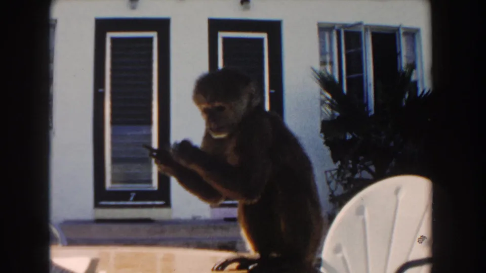 1960 Miami home-movie frame showing the monkey seated on the patio, holding food with a shuttered building behind it.