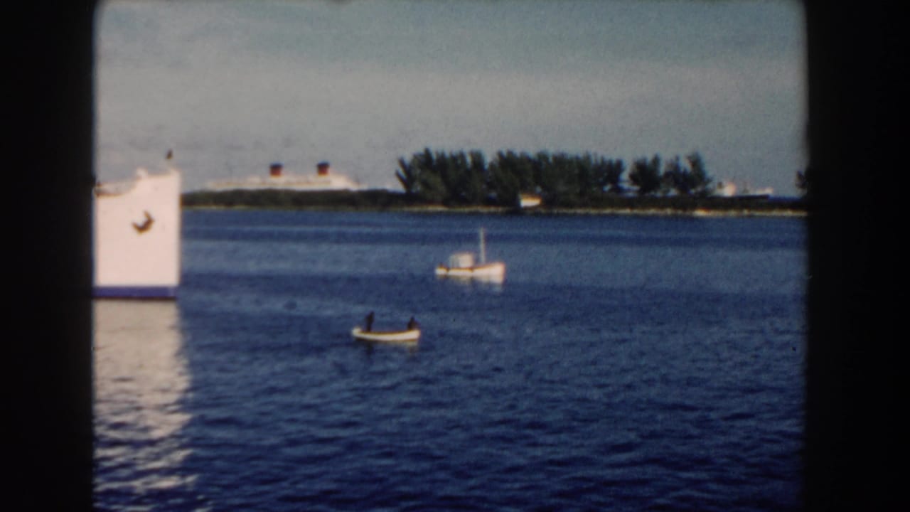 Large white ship at left with small boats on water and shoreline in the distance.