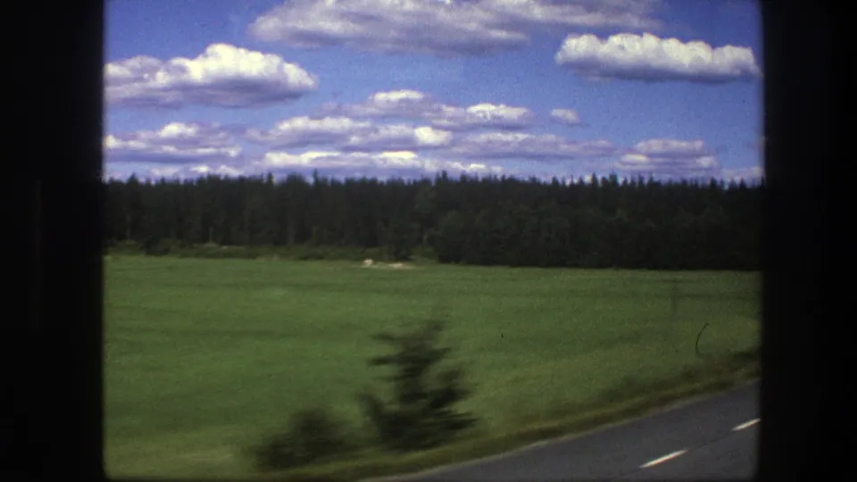 Moving-vehicle view of rural Sweden in 1975, with a grassy field, dark forest, bright clouds, and a blurred tree near the road.