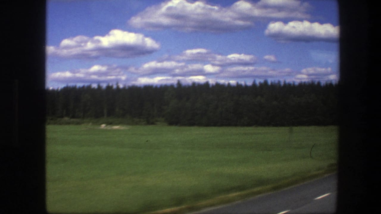 Green field and forest seen past a road edge under a cloud-filled blue sky.