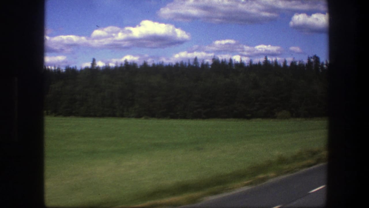 1975 Swedish countryside view from a moving car, with a green field, dark tree line, road edge, and bright clouded sky.