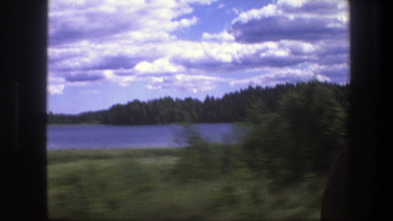 Lake and forest seen through a dark vehicle window frame with blurred greenery in front.