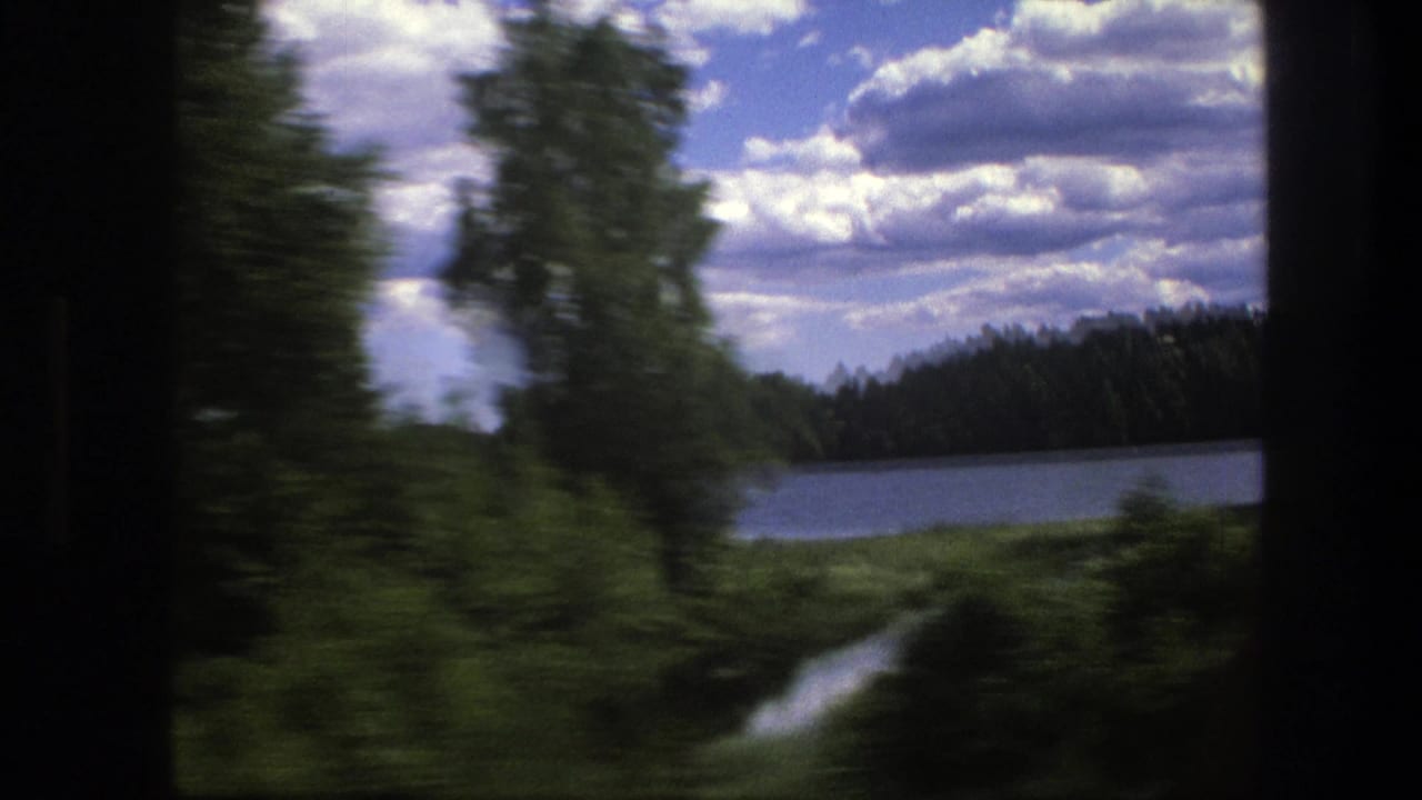 Trees and bushes blur past a lakeside view under a bright cloudy sky.