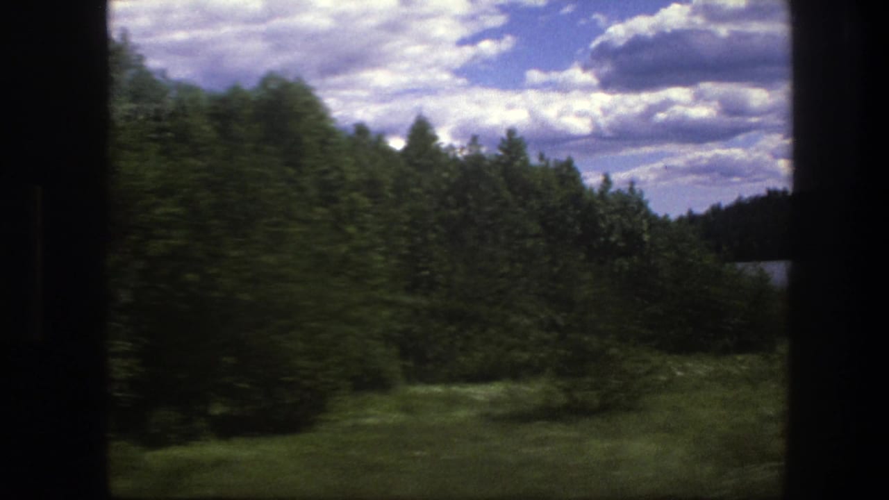 Green trees and grassland seen through a dark 8mm film frame under a cloudy sky.