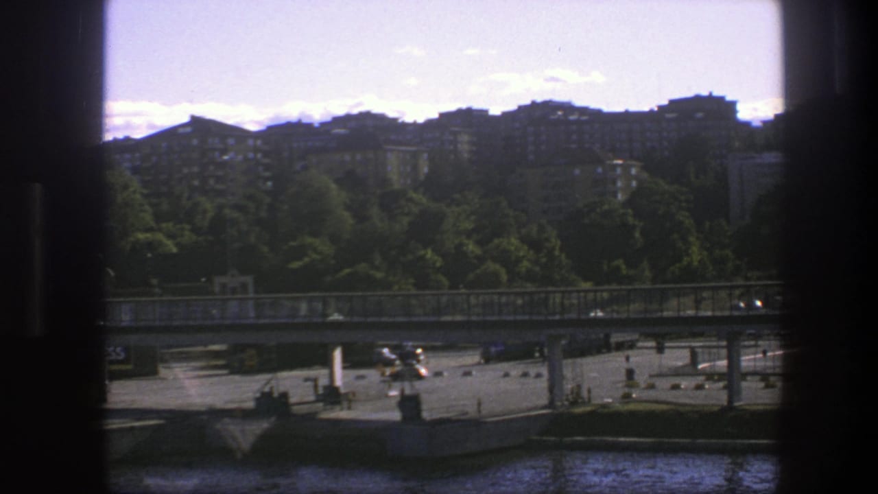 Waterfront road and bridge below trees and apartment blocks, framed by dark window edges.