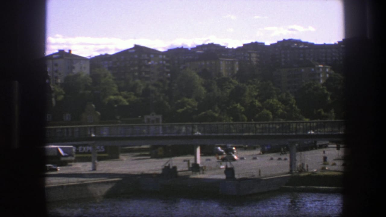 Bridge, waterfront roadway, trees and apartment blocks seen through a dark vertical frame.