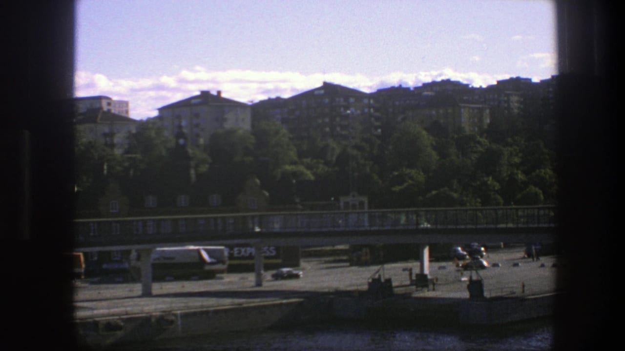 Waterfront view with pier, bridge structure, trees, apartment buildings, road traffic, and small distant people.