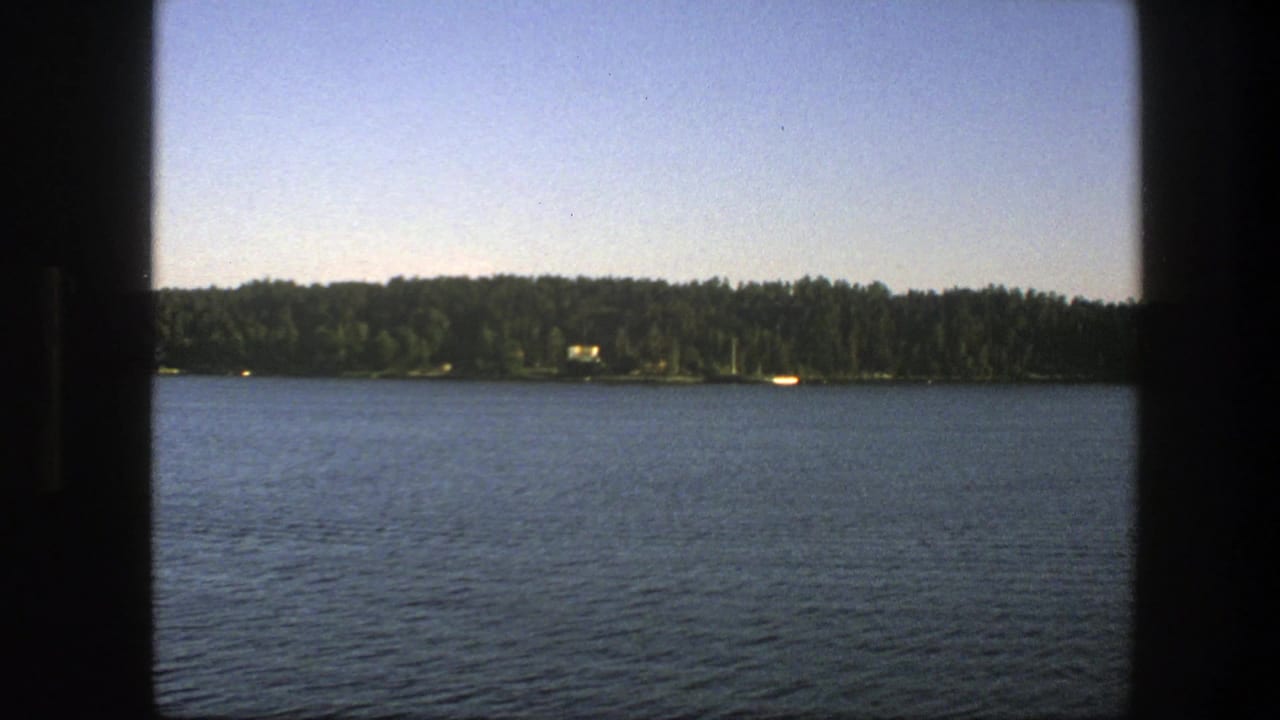 Lake water and wooded shoreline seen between dark foreground verticals under clear sky.