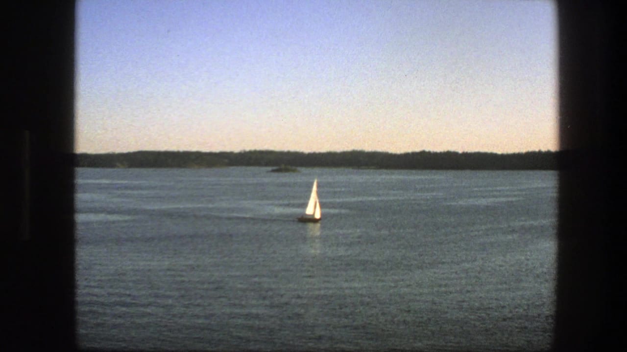 Small white sailboat on open blue water with a distant wooded horizon.