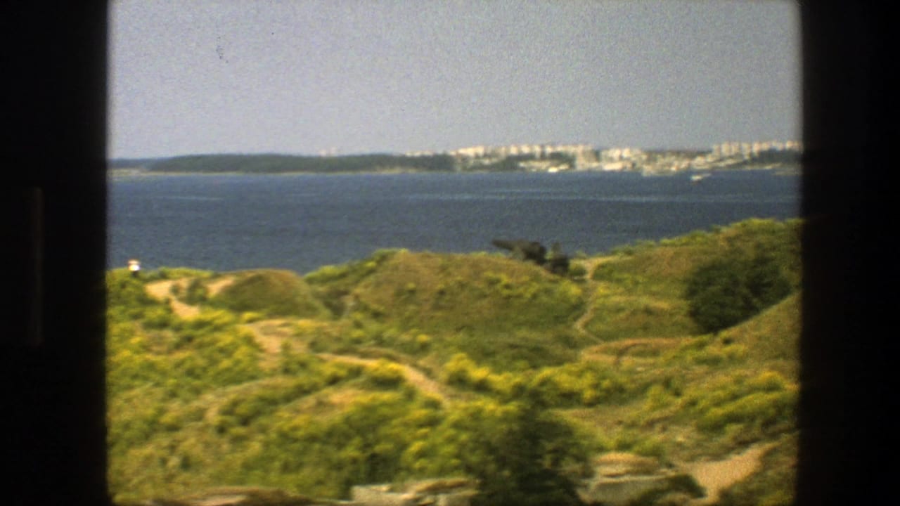 Green coastal hills and winding paths overlook calm blue water with a distant city across the bay.