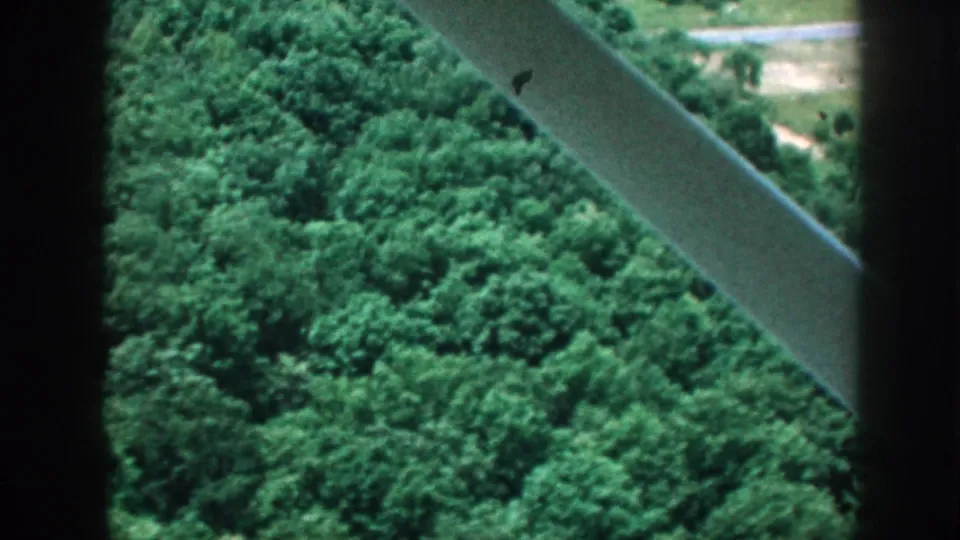 1958 Nebraska aerial view past a wing strut, showing green woods and a pale field beyond the aircraft window.